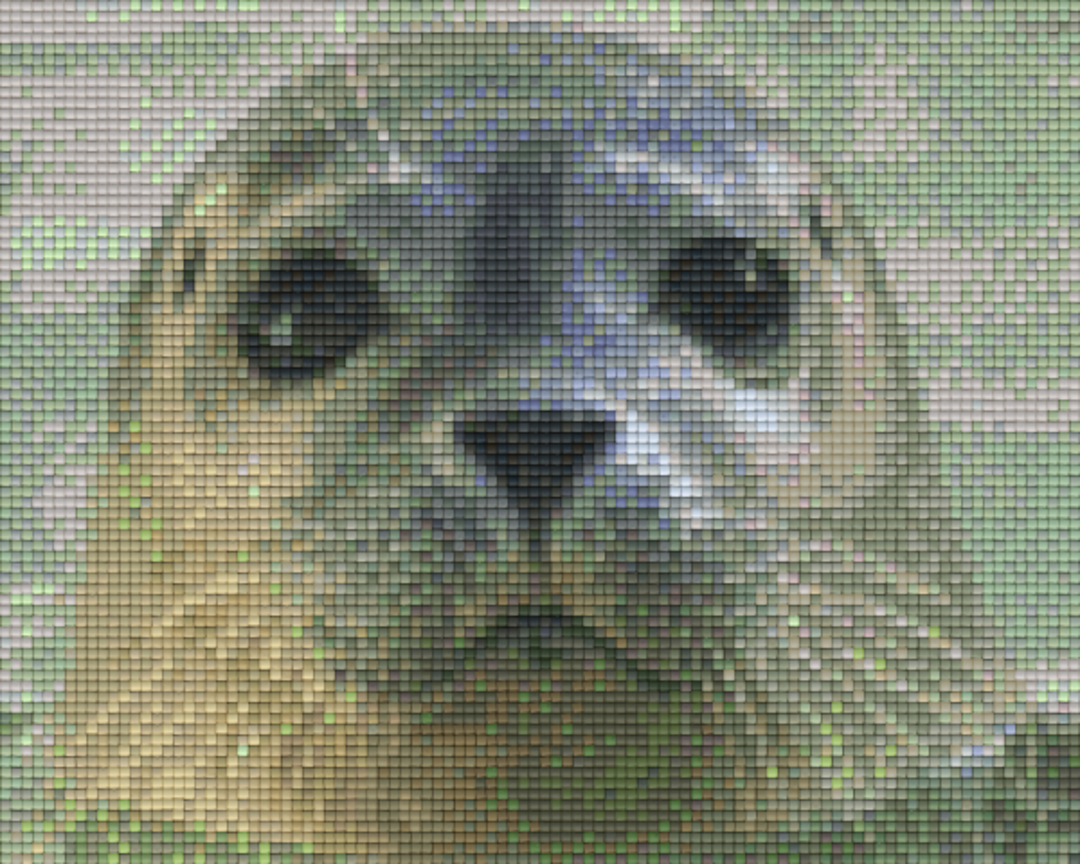 Seal Four [4] Baseplate PixelHobby Mini-mosaic Art Kit image 0
